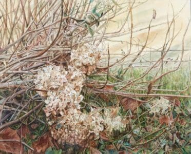 冬枯れ　稲垣恭子